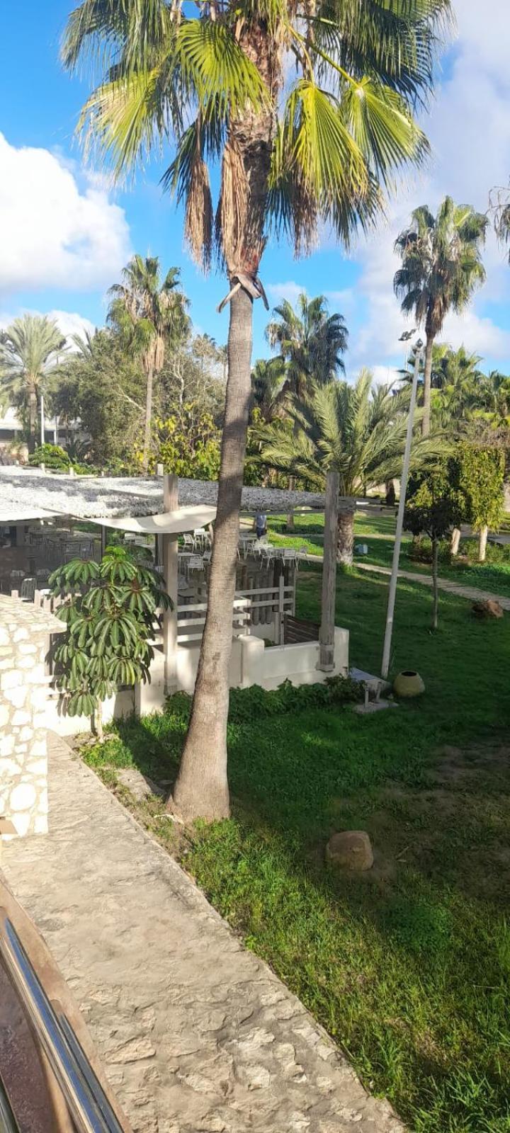 Apartamento Pepita Alay Benalmádena Eksteriør billede