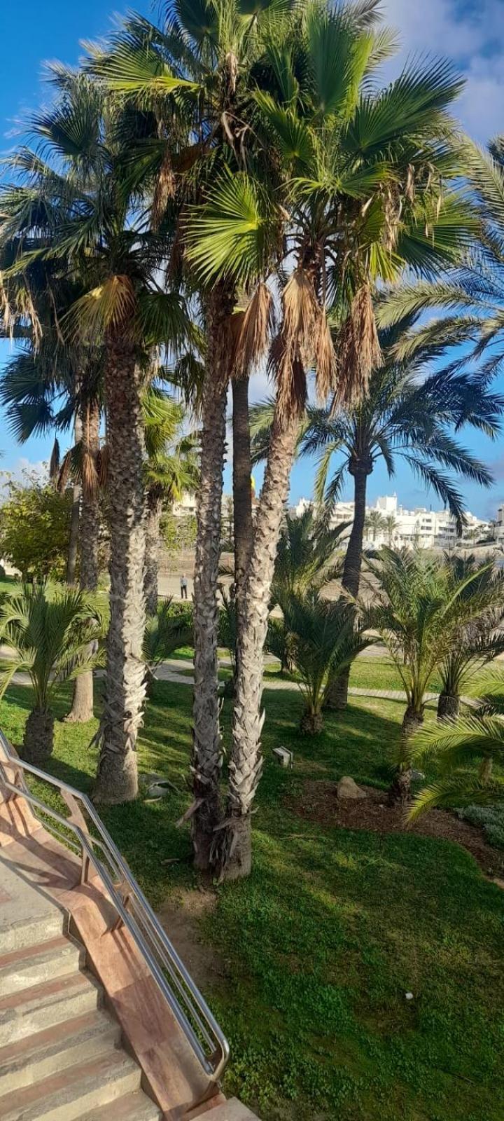 Apartamento Pepita Alay Benalmádena Eksteriør billede